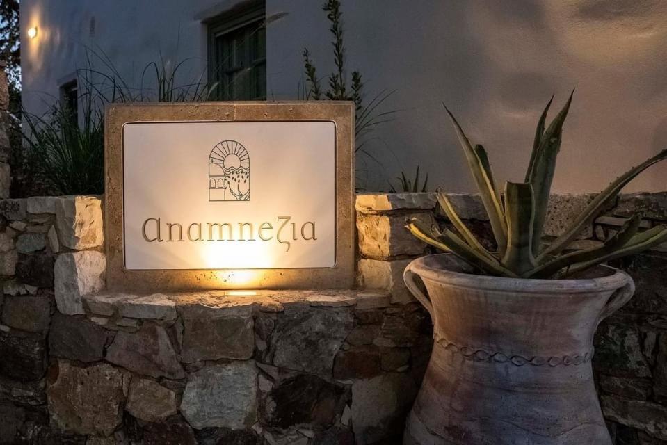 Anamnezia Luxury Suites (Adults Only) Agios Dimitrios  Eksteriør billede