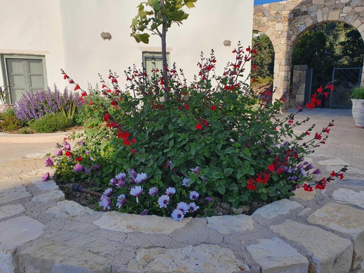 Anamnezia Luxury Suites (Adults Only) Agios Dimitrios  Eksteriør billede